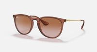 Ray Ban - Erika Classic Non Polarized Sunglasses Rb4171 659013