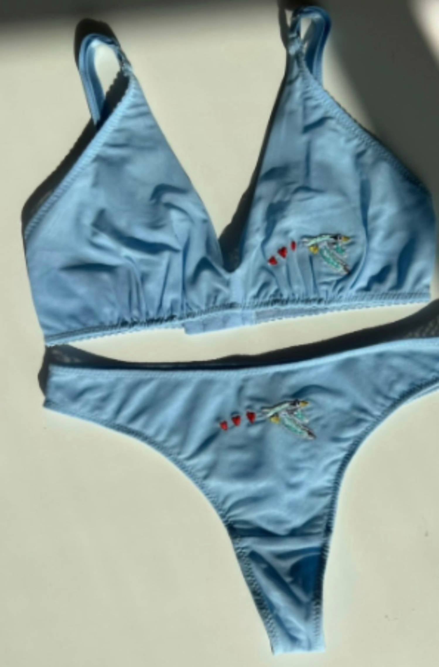 Love & Swans - Women's Bird/heart Embroidery Mesh Thong
