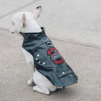 Doggie Design - Biker Dawg Motorcycle Jacket