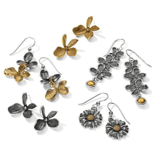 Brighton - Women's Everbloom Duo French Wire Earrings