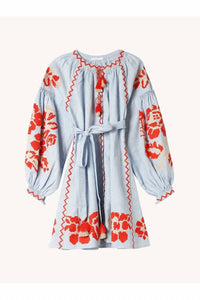 Annabo - Pixel Rose Mini Dress