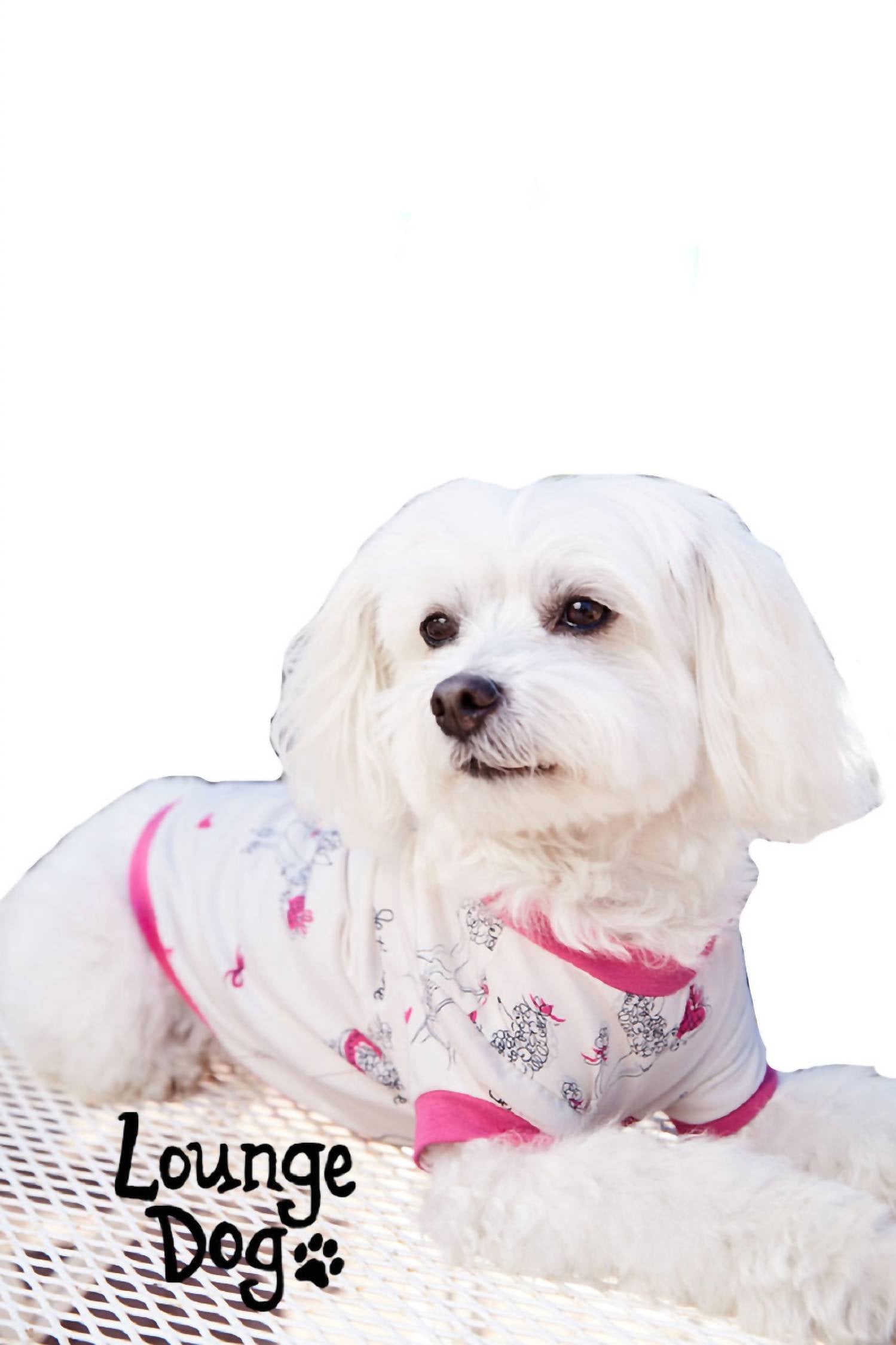 Bedhead Pjs - Pet Dog Fifi Stretch Pajama