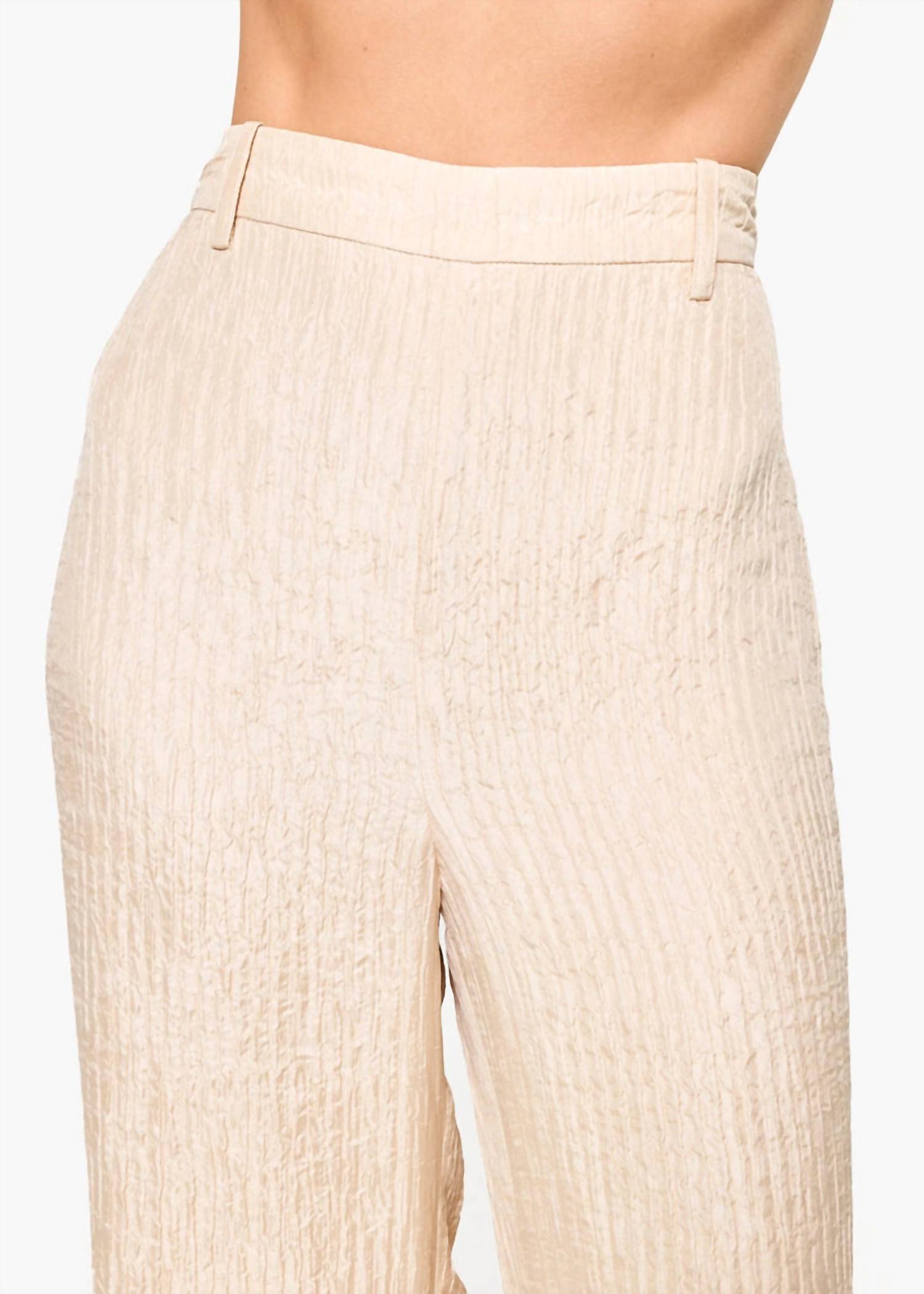 Cami Nyc - Crinkle High Rise Trousers