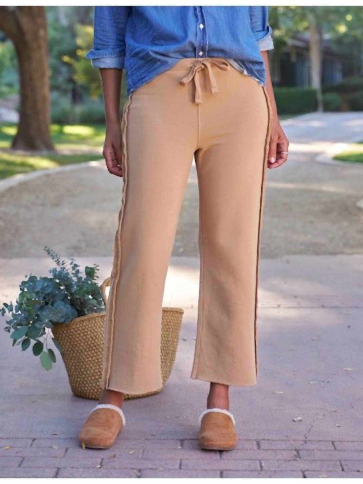 Frank & Eileen - Bella Jogger Sweatpant
