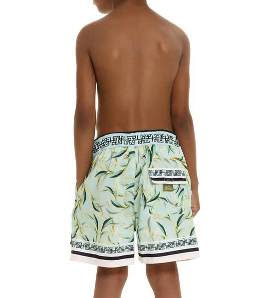 Agua Bendita - Boy's Nick Korin Trunk