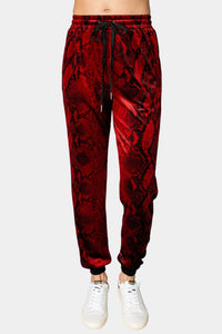 Buddylove - Meadow Velour Joggers