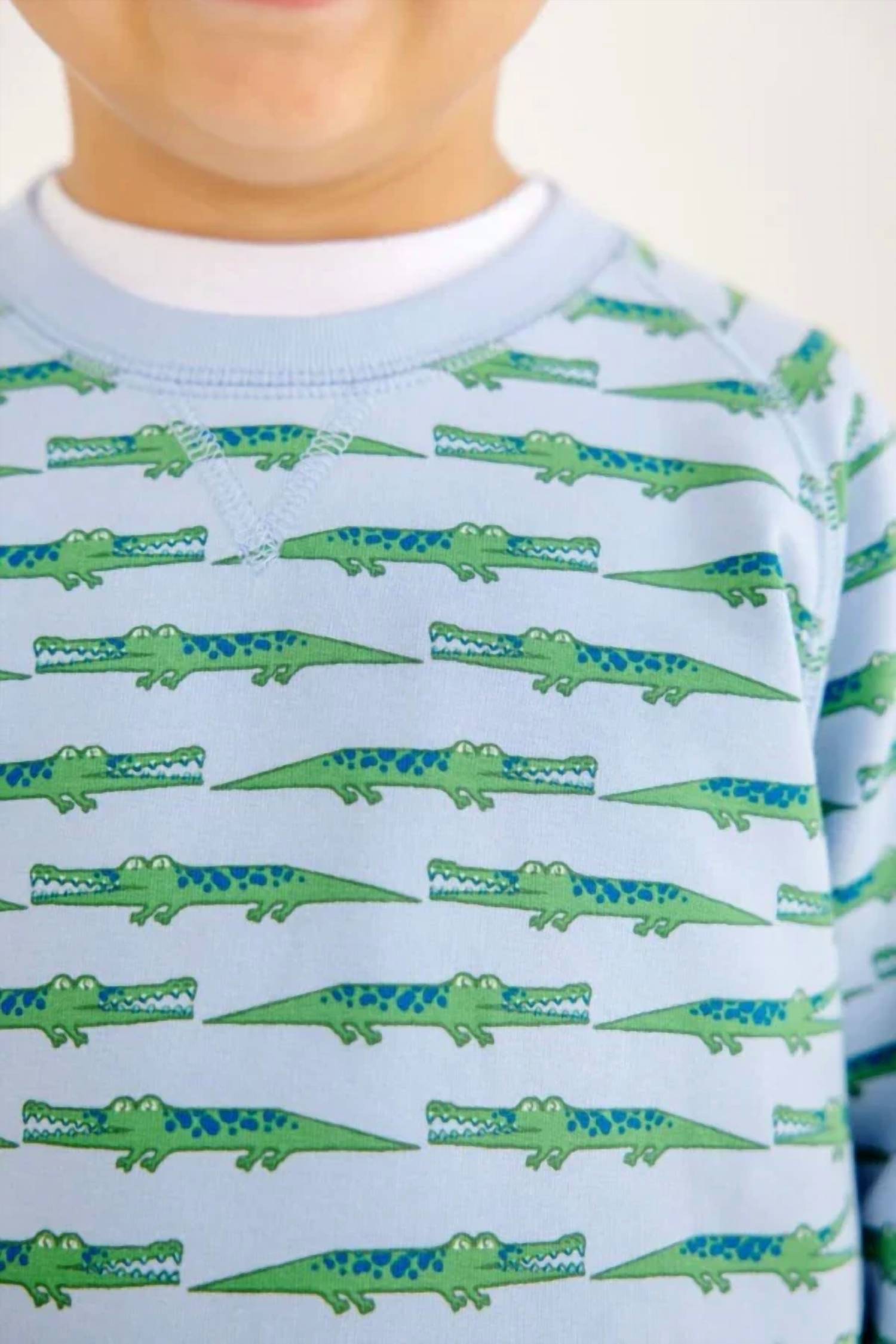 The Beaufort Bonnet Company - Cassidy Comfy Crewneck Top
