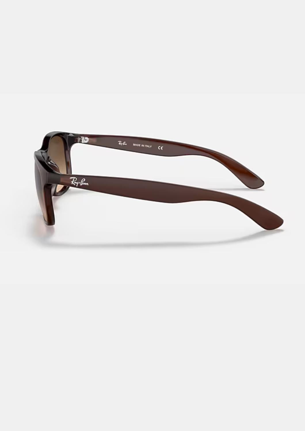 Ray Ban - Andy Rb4202 607313 Sunglasses