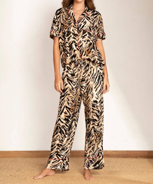 Maaji - Sand Zebra Kameli Top And Pant Set