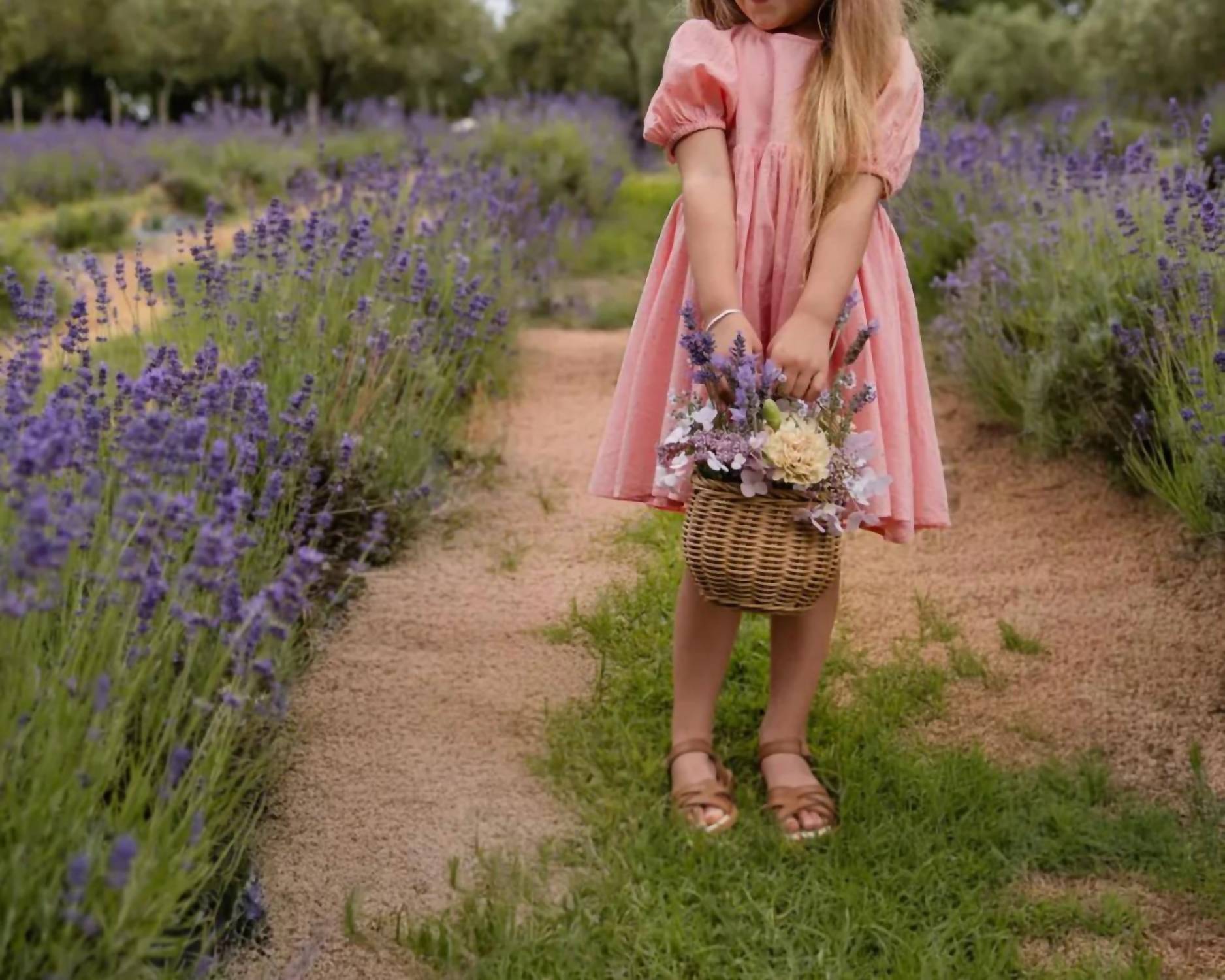 Jamie Kay - Organic Cotton Frannie Dress