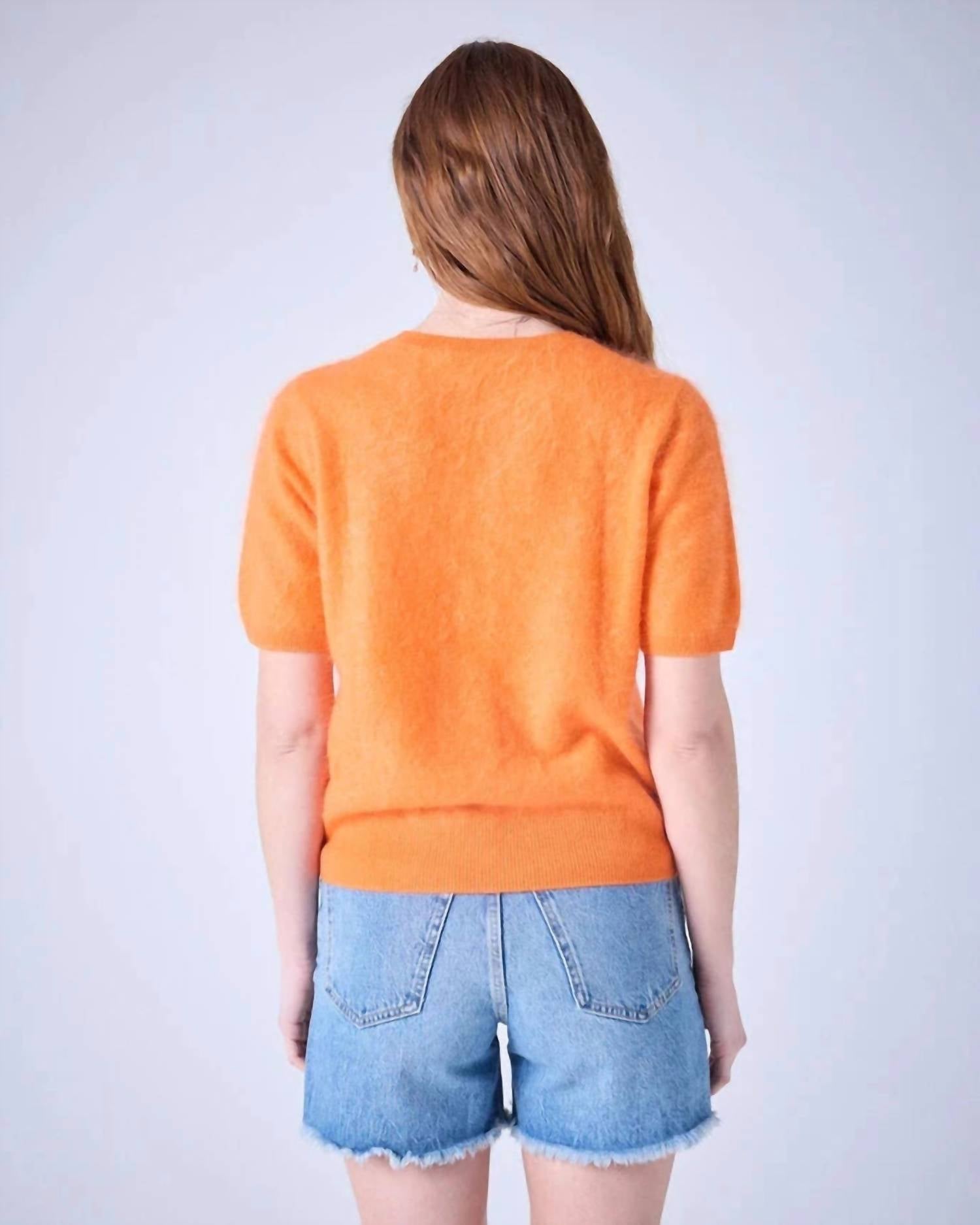 Absolut Cashmere - Amaya Brushed Round Neck Sweater