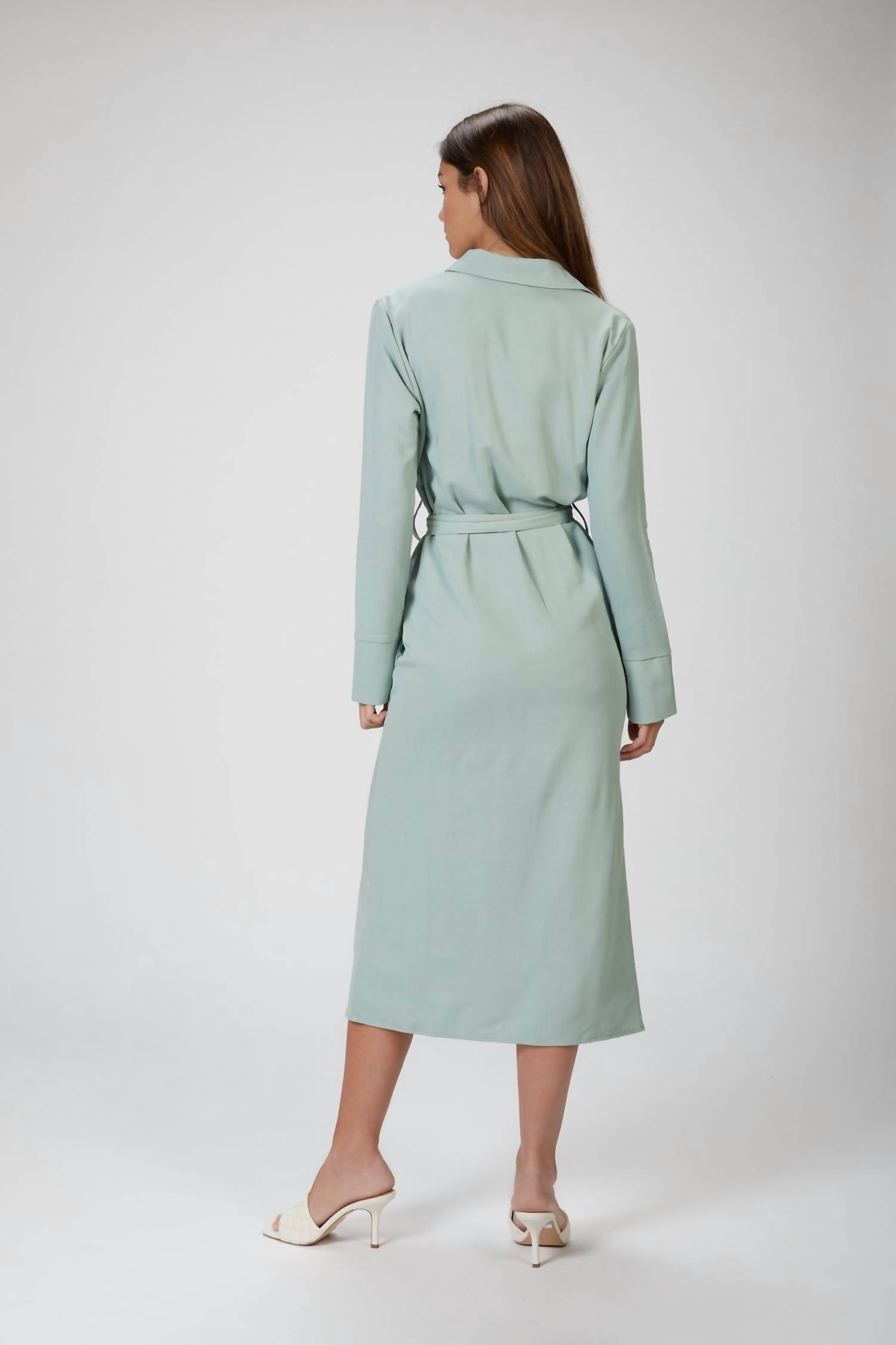BREE TRENCH DRESS