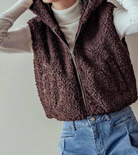 Trend:Notes - Zip Up Hoodie Teddy Crop Vest