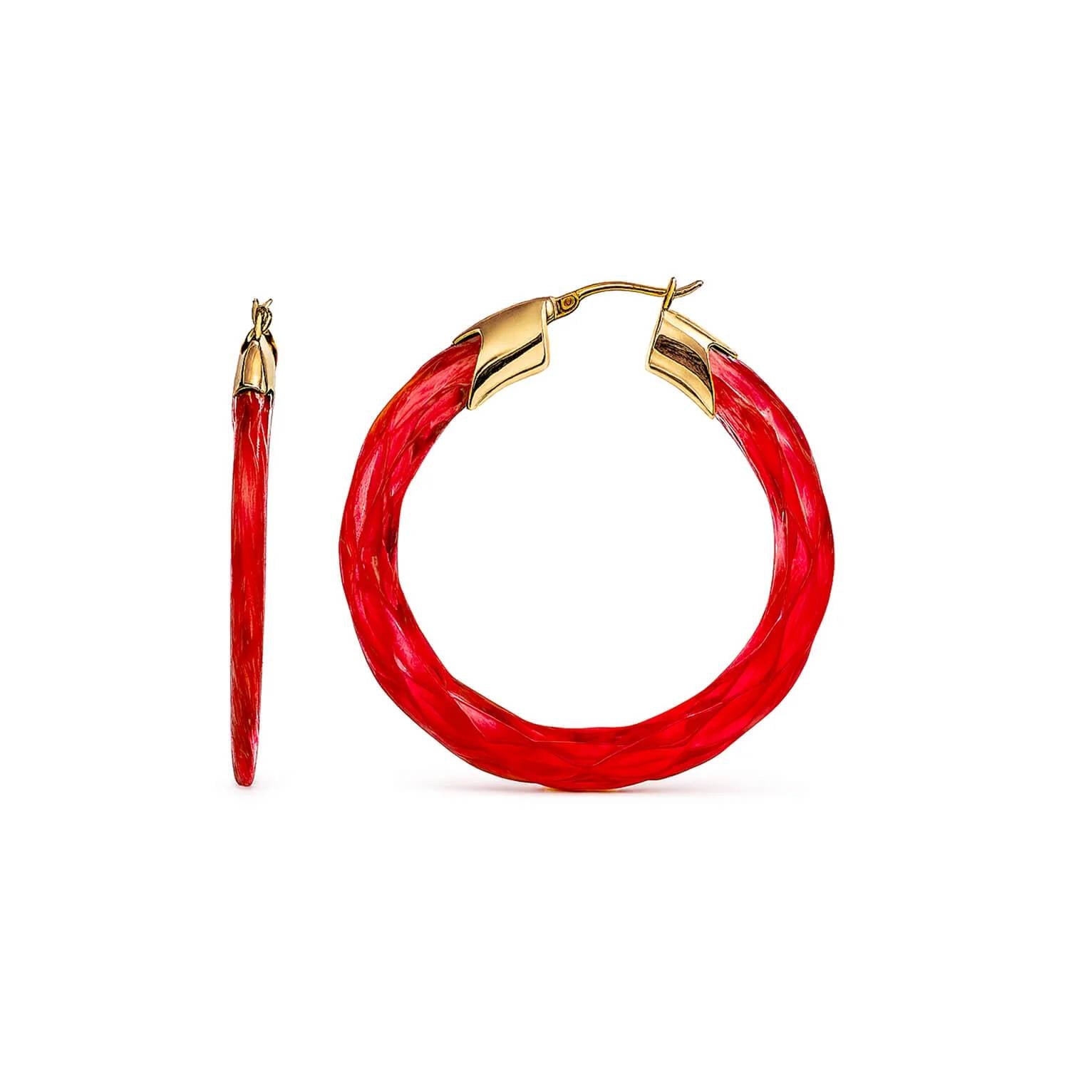Gold & Honey - Women's Swirl Twist Lucite Birthstone Hoop Earrings