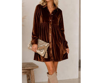 La Miel - Velvet Mini Dress