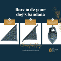 The Oxford Dog - Dog's Classic Look Bandana