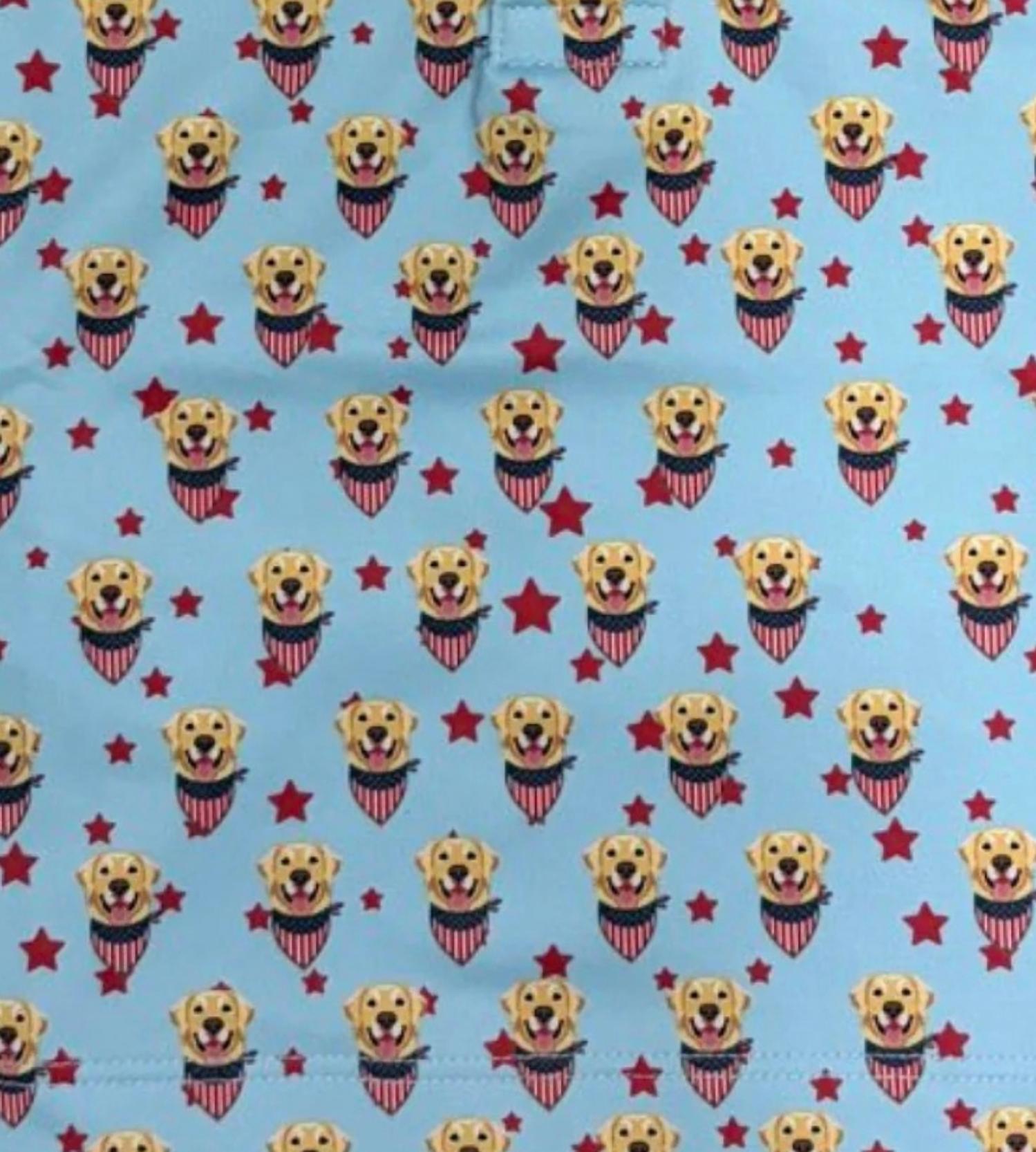 Coolybri - Boy's Miles Americana Dog Print Polo