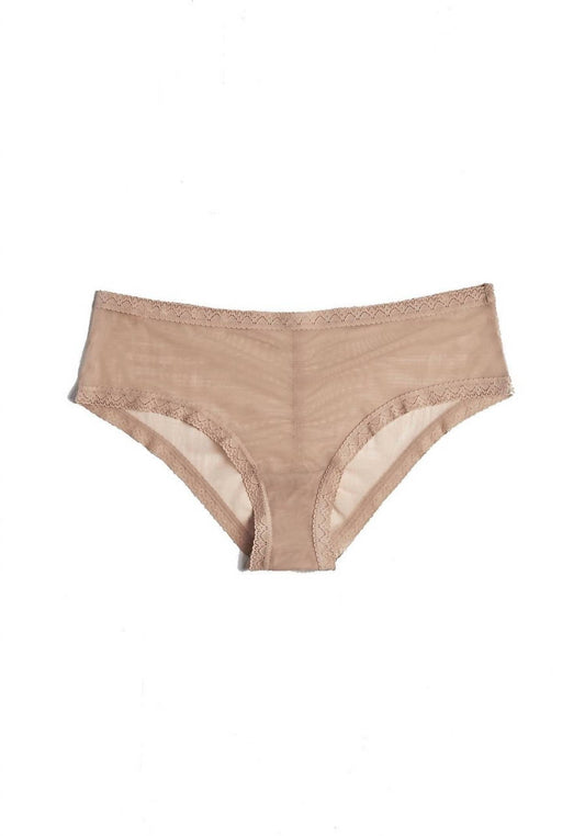 Blush Lingerie - Mesh Lace Trim Hipster Panty