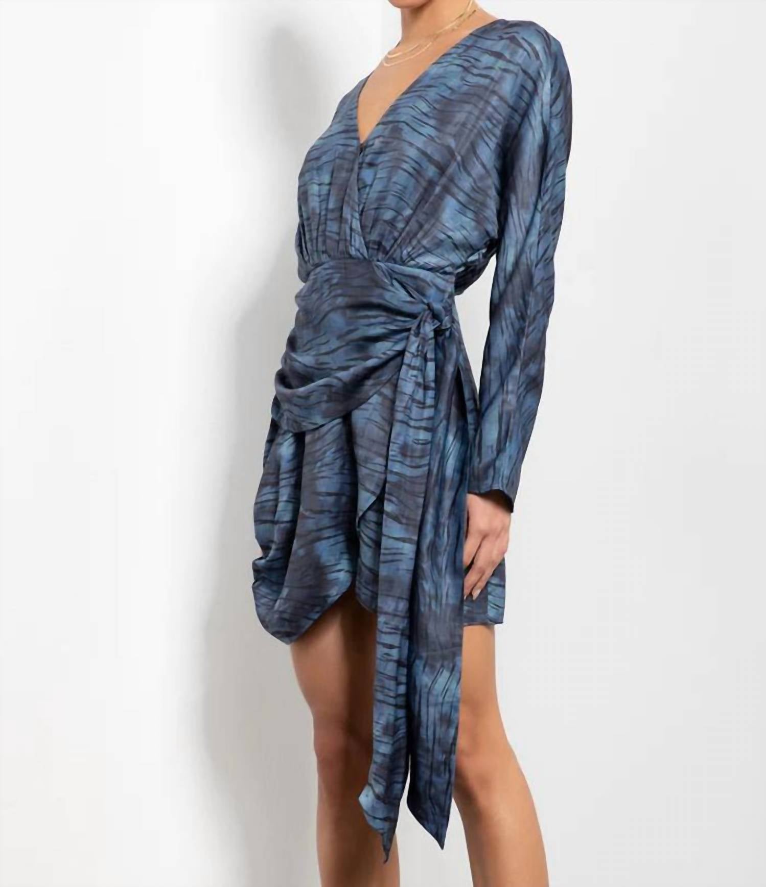 Isono Zebra Printed Dress