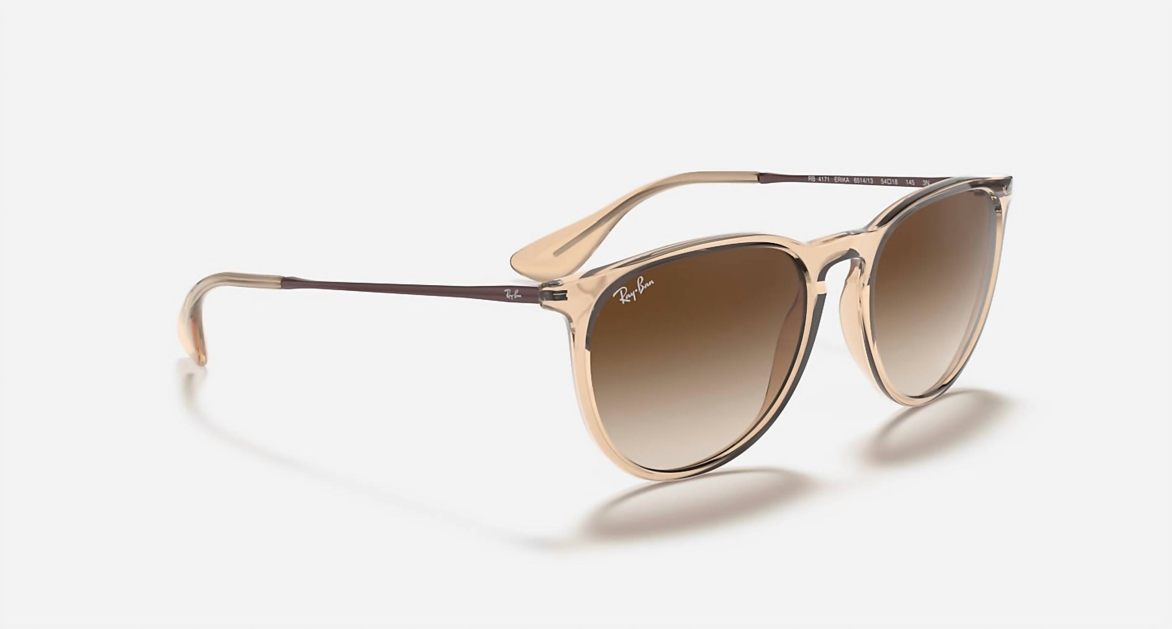 Ray Ban - Women's Rb4171 Erika Transparent Sunglasses