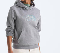 The North Face - Evolution Regenerative Ink Half Dome Hoodie