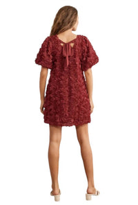 In February - Ribbon Mini Dress