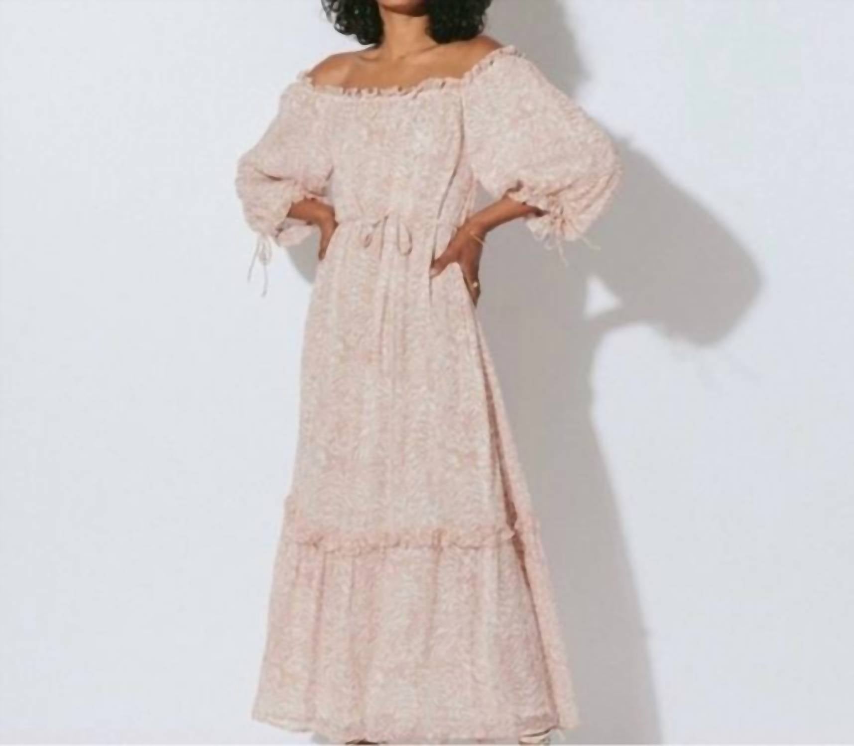 Cleobella Saige Chiffon Ankle Maxi Dress in blush zebra - women's dress