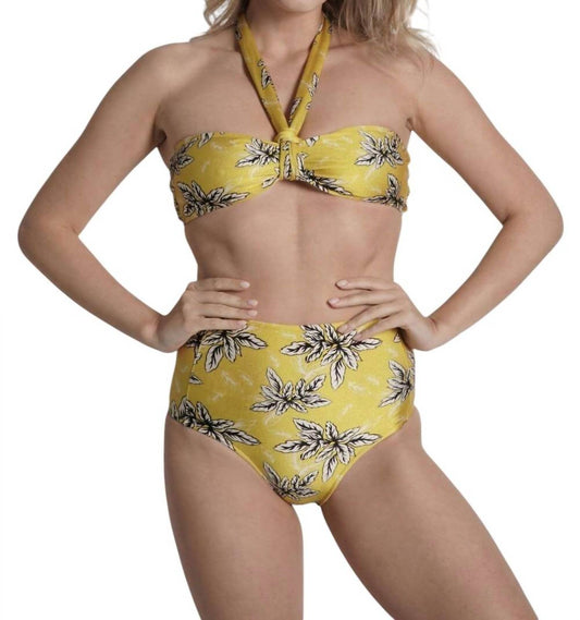 Sauipe - High Waisted Bikini Bottom