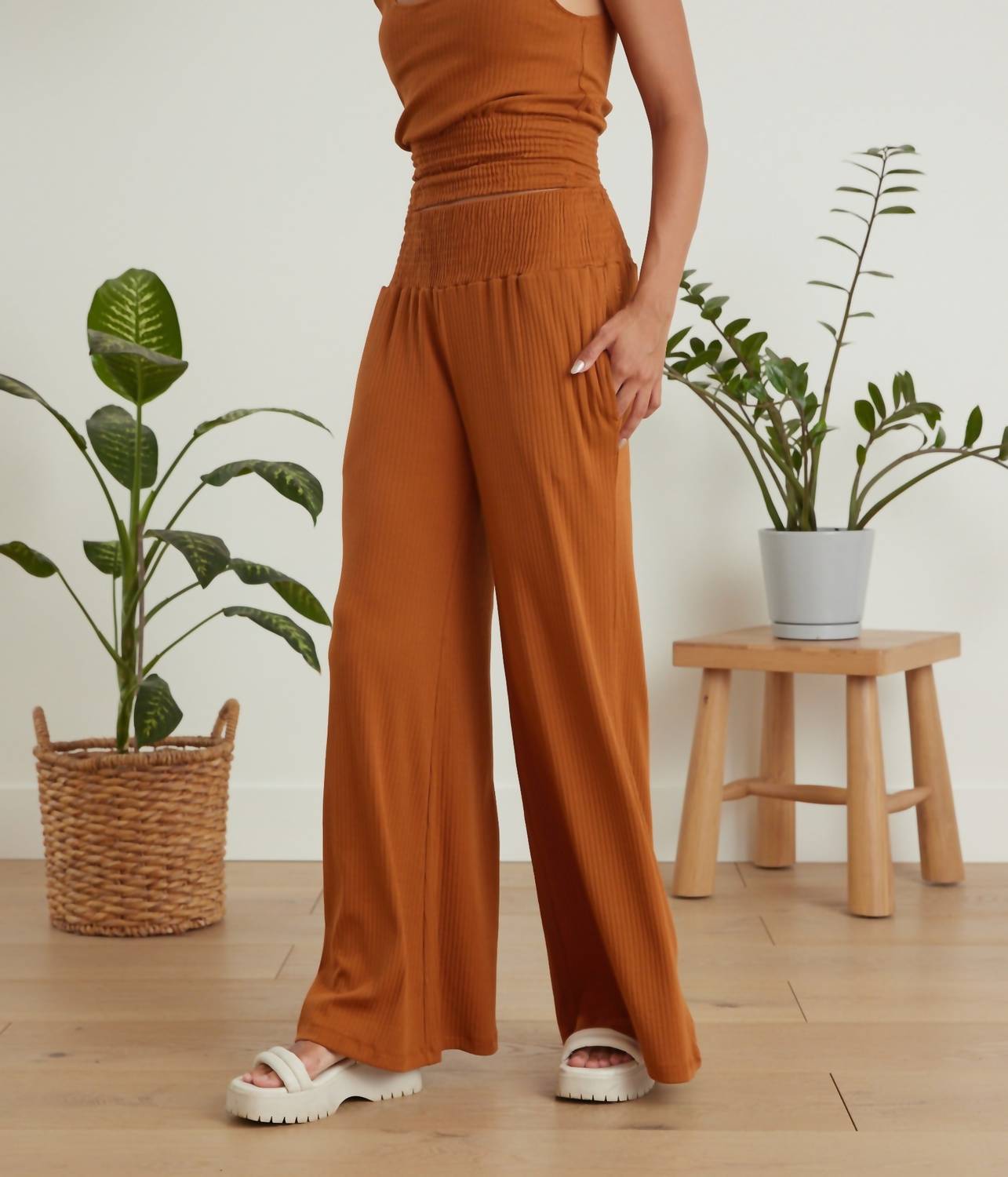 Known Supply - Waldo Pant