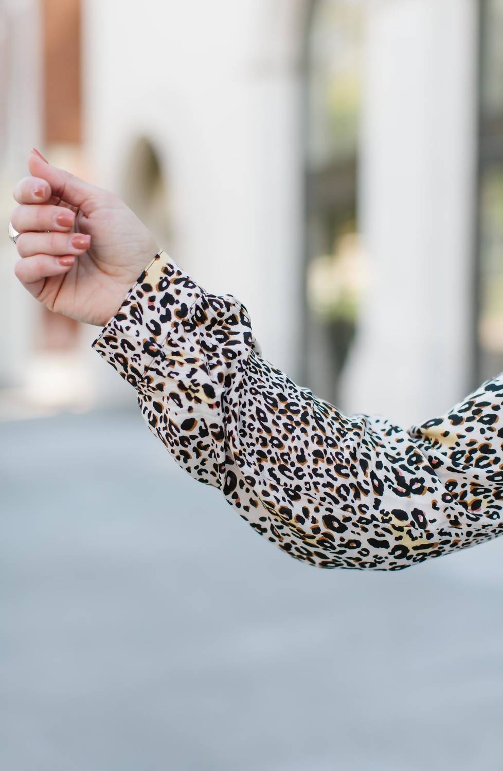 Panther Leopard Printed Blouse