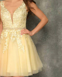 Dave & Johnny - Embroidered Tulle Dress With Rhinestone Belt
