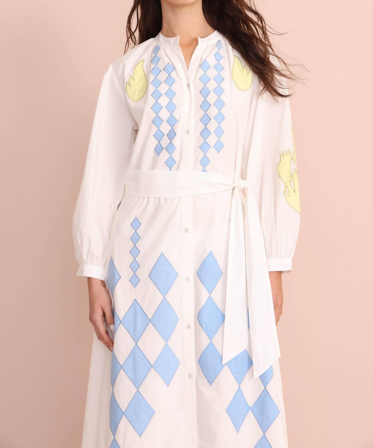 Vero Alfie - Carousel Dress
