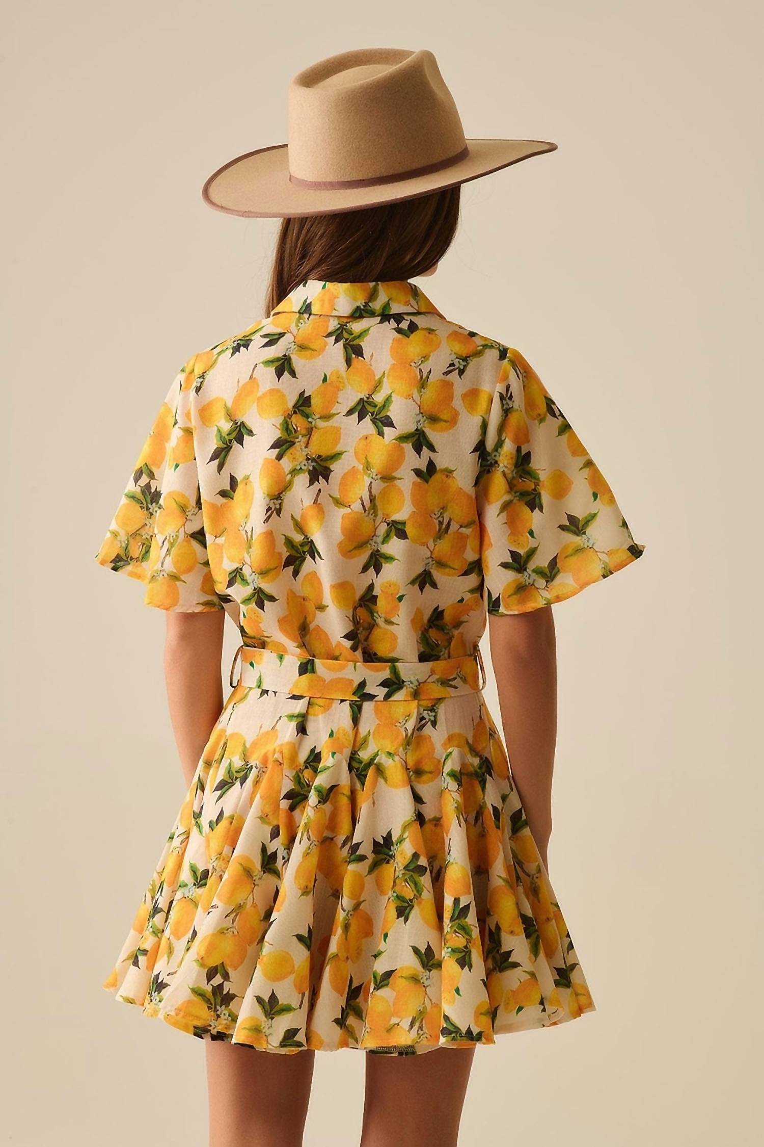 Q2 - Romantic Dress With Waistband And Lemon Print And Short Sleeves