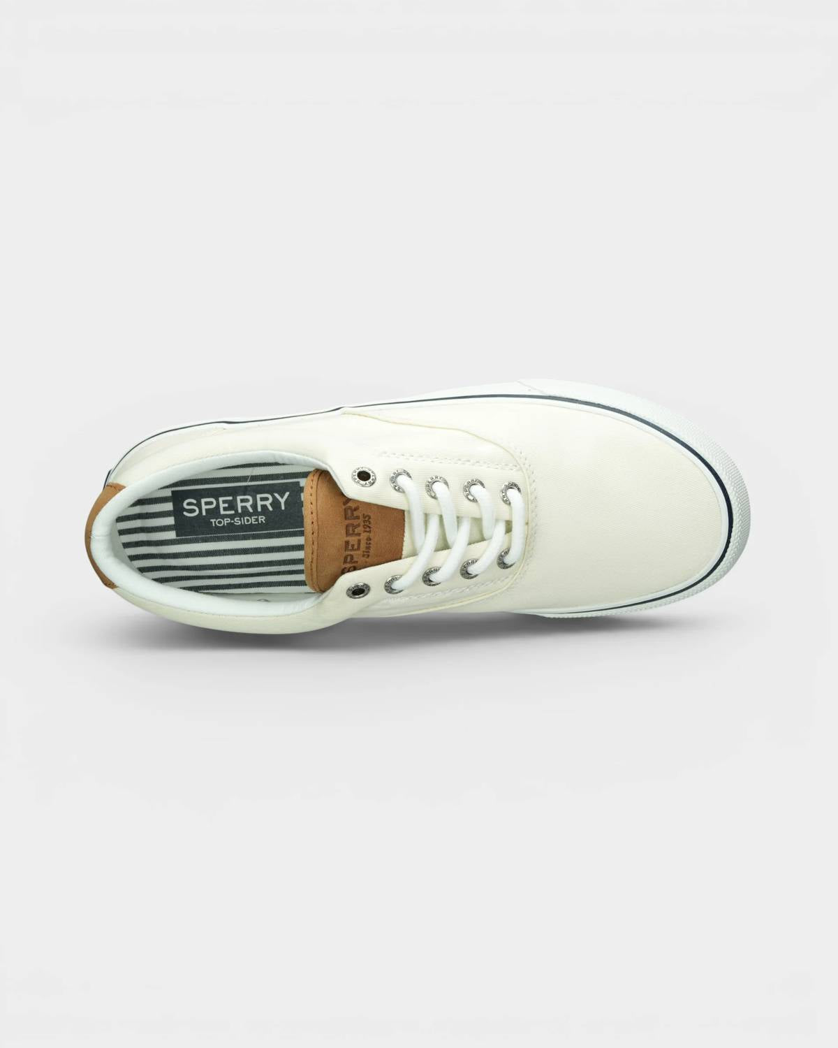 Sperry - Men's Striper Cvo Canvas Sneakers