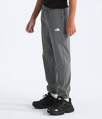 THE NORTH FACE Kid's Boys' On The Trail Pull-on Pants in smocked pearl - kids' joggers - alternate view