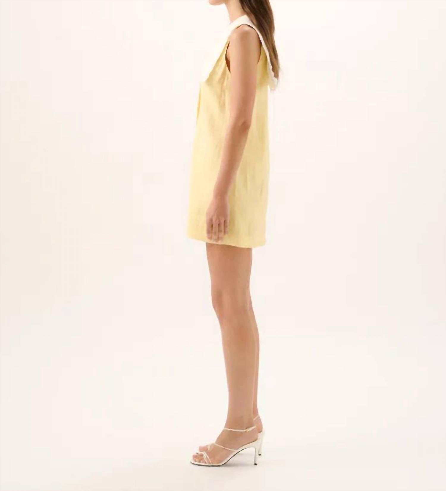 Roame - VALENTINA MINI DRESS