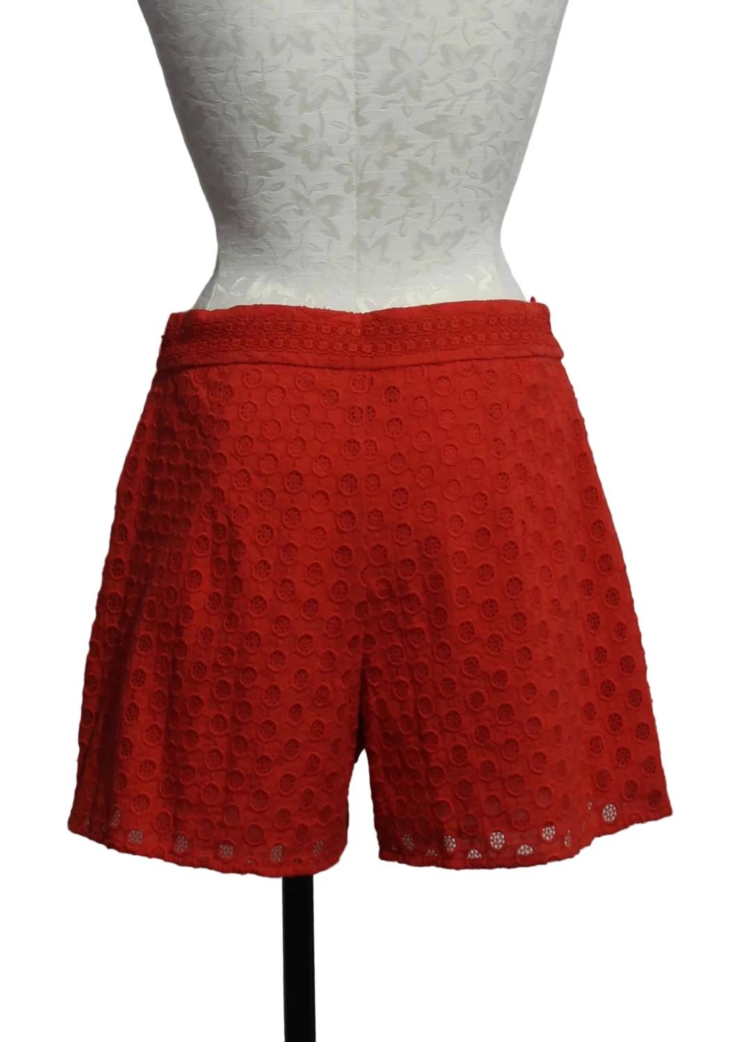 Emily Lovelock - Women's Nova Shorts