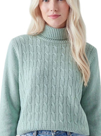Allude - Turtleneck Sweater