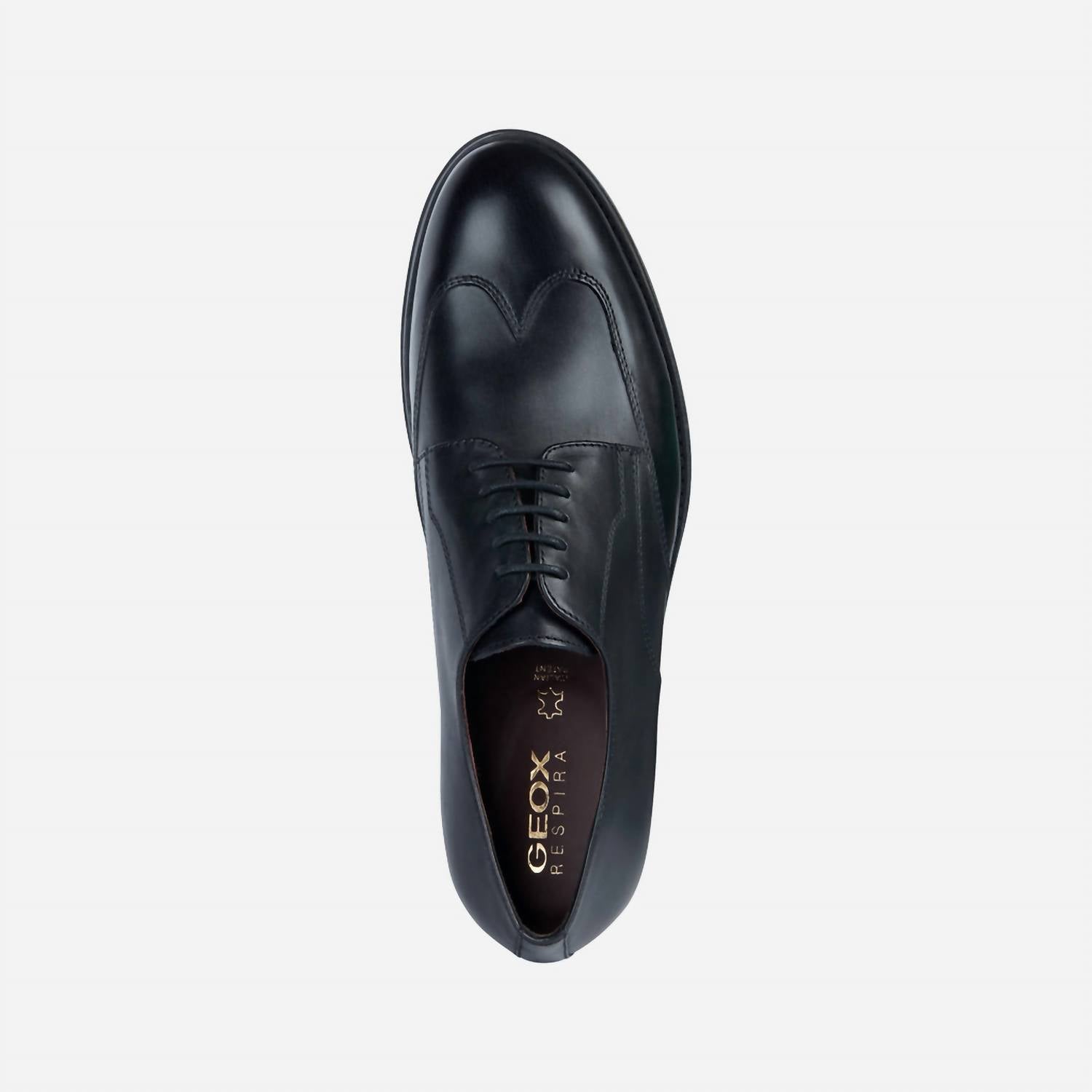 Geox - Men's Decio Shoe