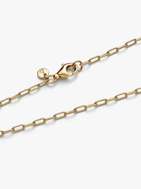 Pandora - Elongated Link Chain Necklace