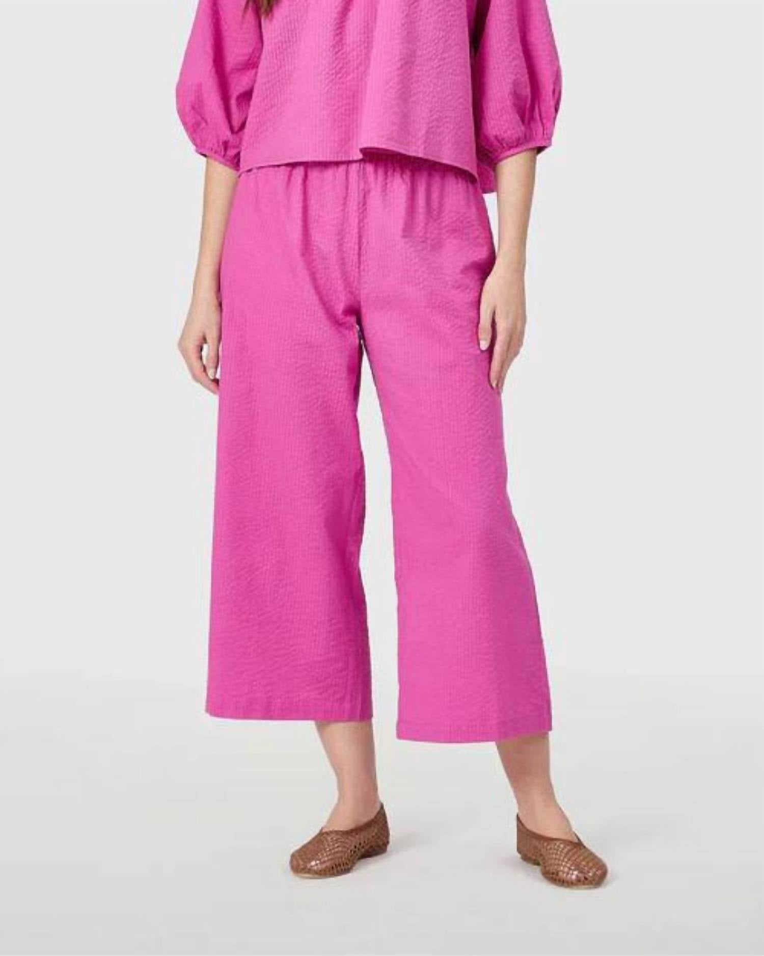 Livro - Travel Pants