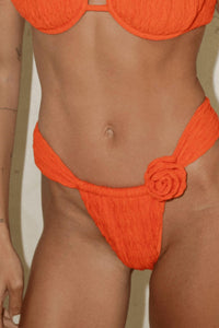 Montce - Sandra Low-rise Bikini Bottom