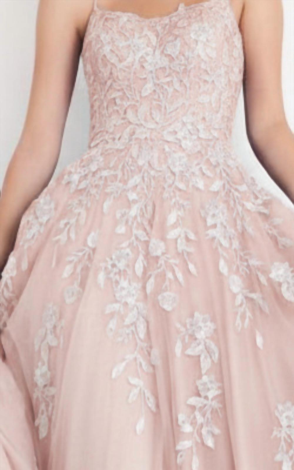 JOVANI Spaghetti Strap Embroidered Prom Gown in blush - women's dress - detail view