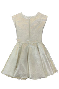 Dolls & Divas Couture - Girls' Platinum Jacquard Cap Sleeve Skater Dress