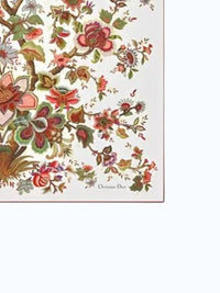 Christian Dior - Women's Floral Pattern Scarf