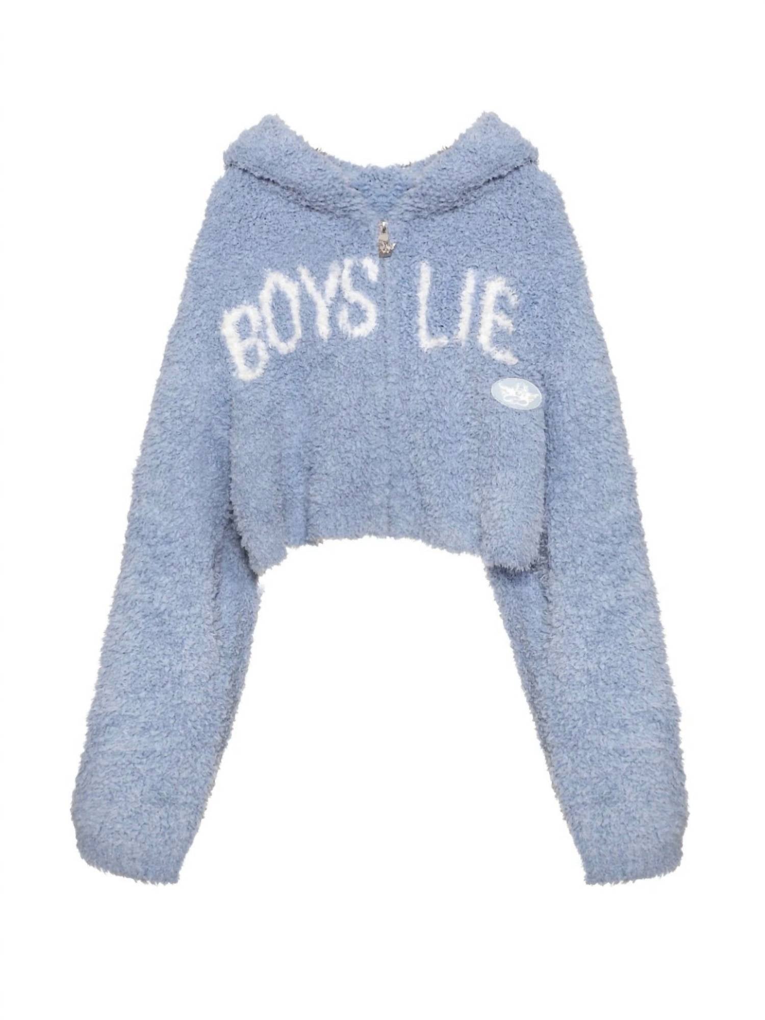 BOYS LIE Bodhi Alex Hoodie in blue - women's top - alternate view
