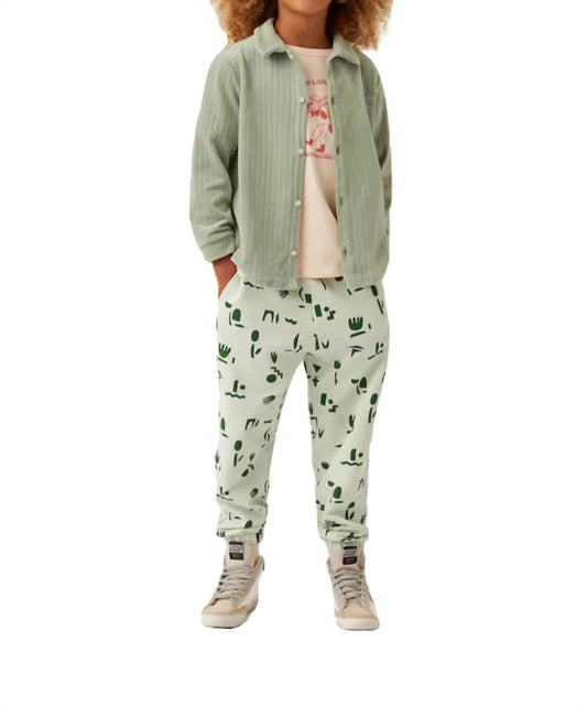 The Sunday Collective - Kids Unisex Organic Sunday Jogger