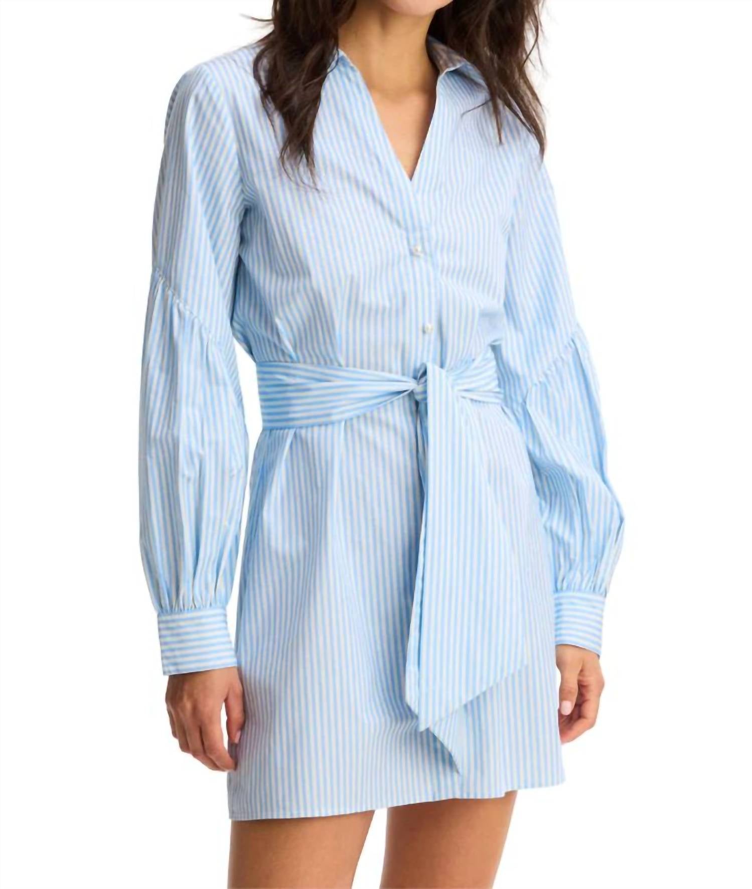 Allison New York - Women's Crisp Cotton Pinstripe Dress