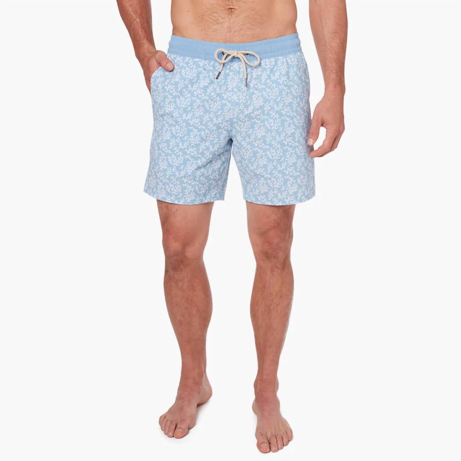 Fair Harbor - Bayberry Trunk