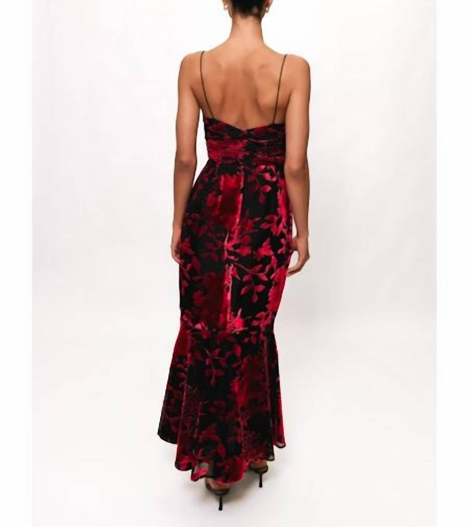 Hutch - Tylia Ruched Maxi Dress